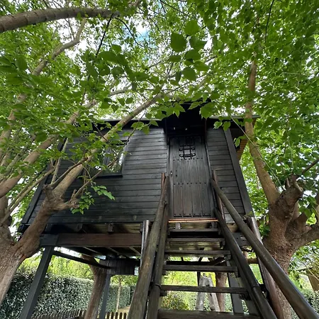 Nature Tree House Casa Sobre Arboles